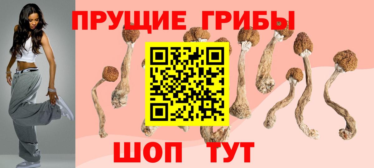 Галлюциногенные грибы Psilocybe  Вход с VPN  Волжский 